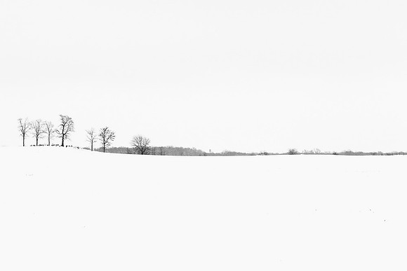 DSC_3762-Edit
