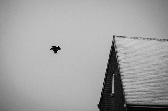 _DSC0023