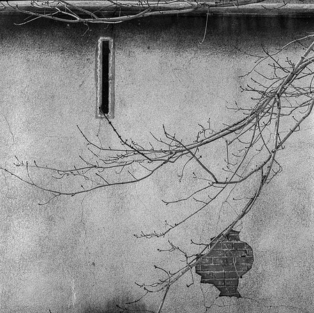 Rollei_March_2015_09-Edit