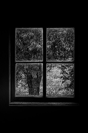 DSC_0343-Edit