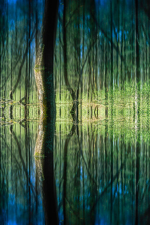 RolleiGumSwamp_5-Edit-Edit