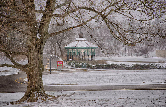 DSC_8039_HDR-Edit