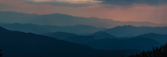 DSC_0574-Edit-Edit