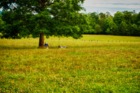 DSC_0340_HDR