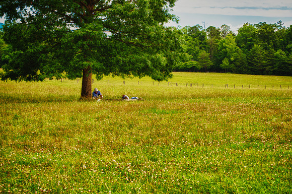 DSC_0340_HDR