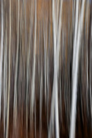 _DSC3584